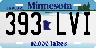 MN license plate 393LVI