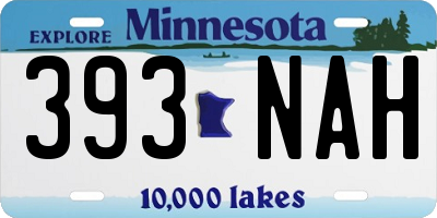 MN license plate 393NAH