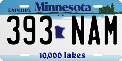 MN license plate 393NAM
