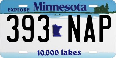 MN license plate 393NAP