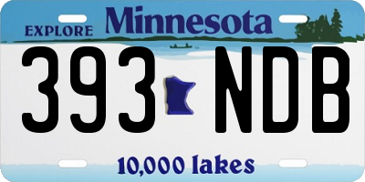 MN license plate 393NDB