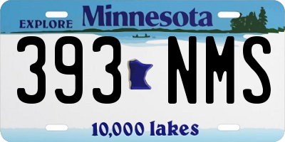 MN license plate 393NMS