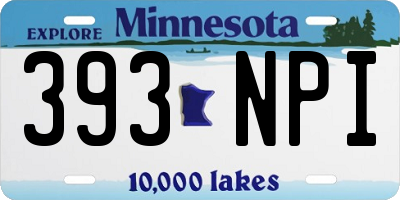 MN license plate 393NPI
