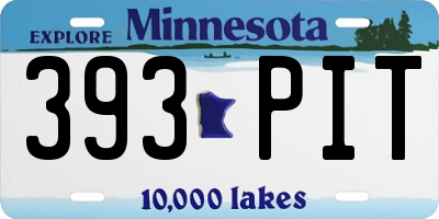 MN license plate 393PIT