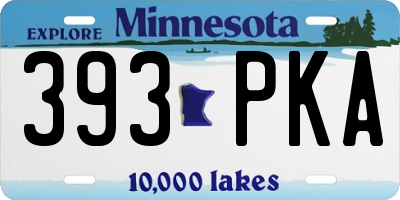 MN license plate 393PKA