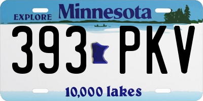 MN license plate 393PKV
