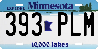 MN license plate 393PLM