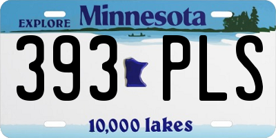 MN license plate 393PLS