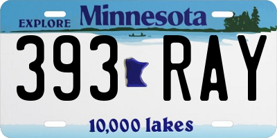 MN license plate 393RAY