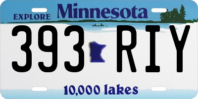 MN license plate 393RIY