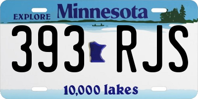 MN license plate 393RJS