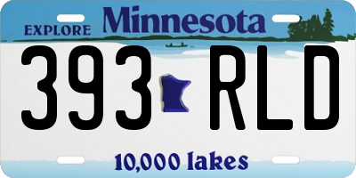 MN license plate 393RLD