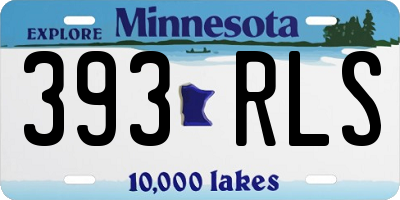 MN license plate 393RLS