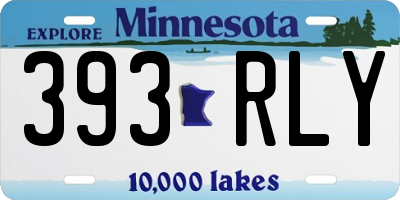 MN license plate 393RLY
