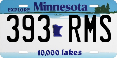 MN license plate 393RMS