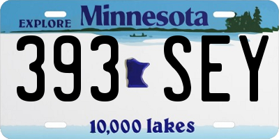 MN license plate 393SEY