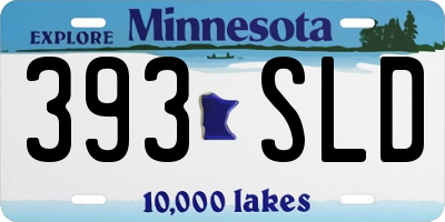 MN license plate 393SLD