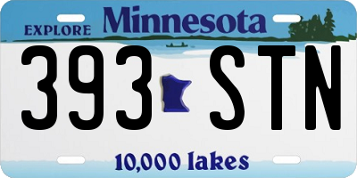 MN license plate 393STN