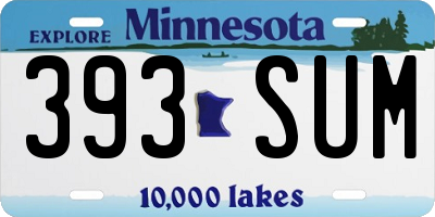 MN license plate 393SUM
