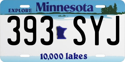 MN license plate 393SYJ