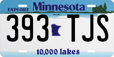 MN license plate 393TJS