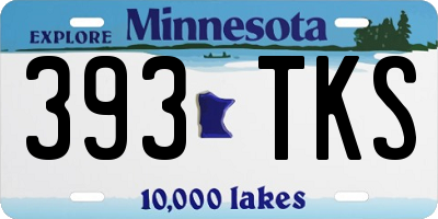 MN license plate 393TKS