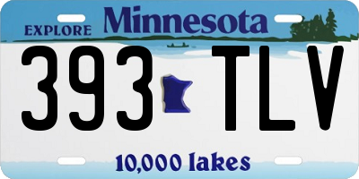 MN license plate 393TLV