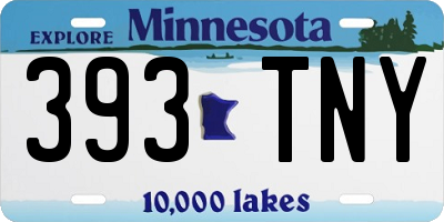 MN license plate 393TNY