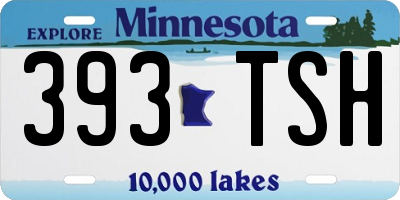 MN license plate 393TSH