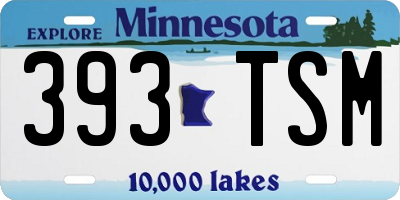 MN license plate 393TSM