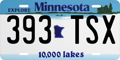 MN license plate 393TSX