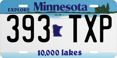 MN license plate 393TXP