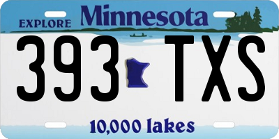 MN license plate 393TXS