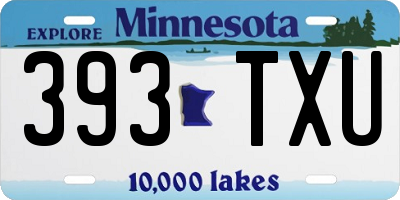 MN license plate 393TXU