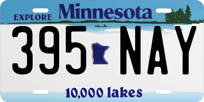 MN license plate 395NAY