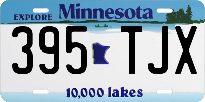 MN license plate 395TJX
