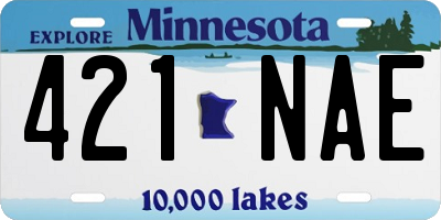 MN license plate 421NAE