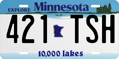 MN license plate 421TSH