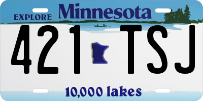 MN license plate 421TSJ