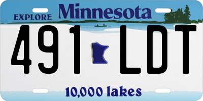 MN license plate 491LDT