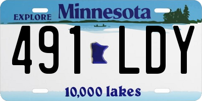 MN license plate 491LDY