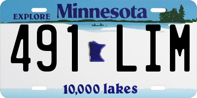 MN license plate 491LIM