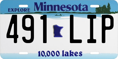 MN license plate 491LIP