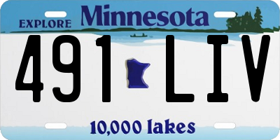 MN license plate 491LIV