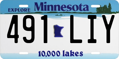 MN license plate 491LIY