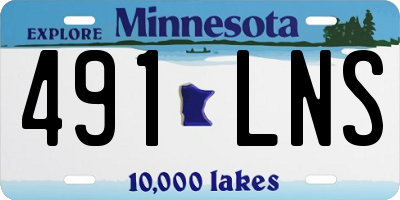 MN license plate 491LNS