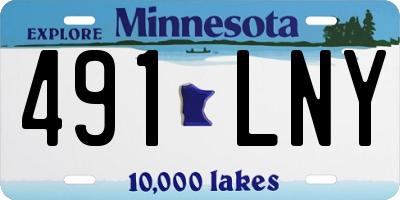 MN license plate 491LNY