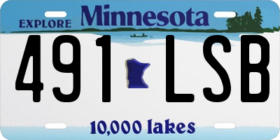 MN license plate 491LSB