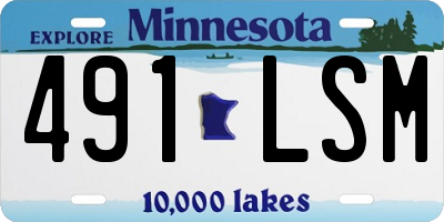 MN license plate 491LSM