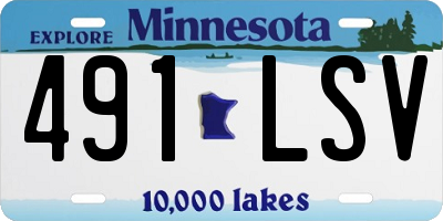 MN license plate 491LSV
